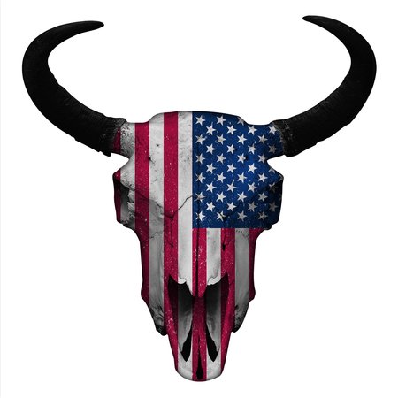 NEXT INNOVATIONS Flag Bison Skull Wall Art 101410072-FLAG